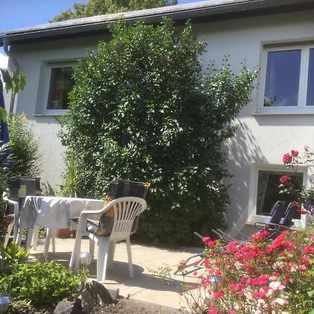 Ferienhaus Moock Horn-Bad Meinberg Buitenkant foto