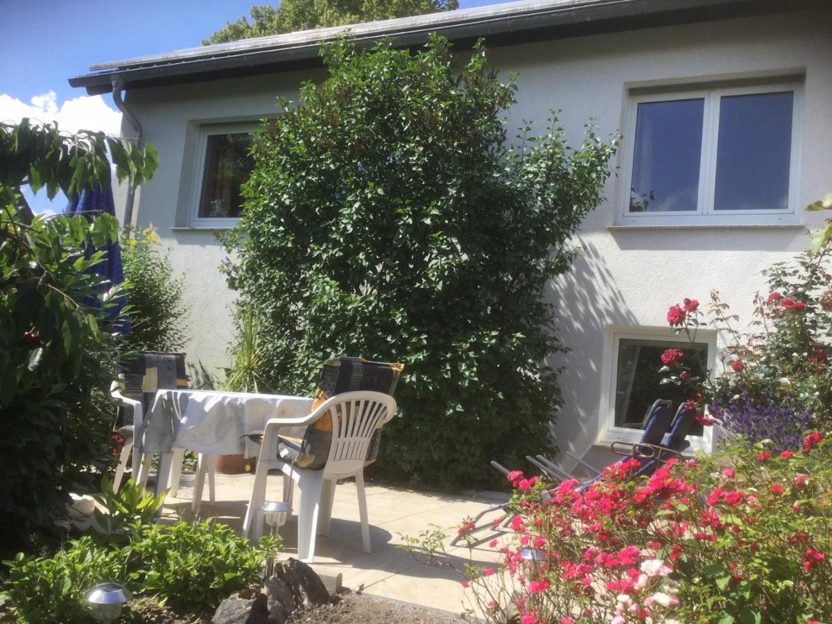 Ferienhaus Moock Horn-Bad Meinberg Buitenkant foto