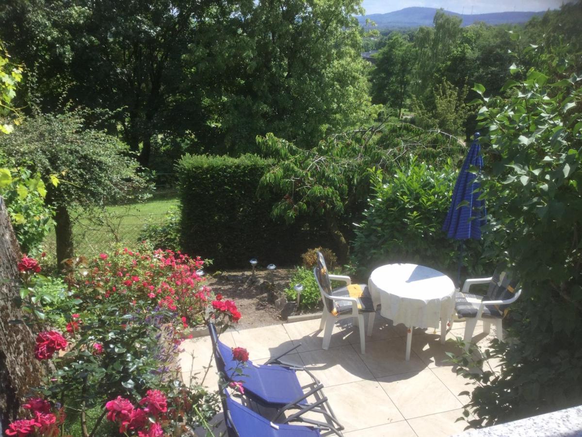 Ferienhaus Moock Horn-Bad Meinberg Buitenkant foto