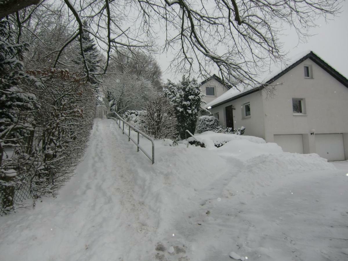Ferienhaus Moock Horn-Bad Meinberg Buitenkant foto